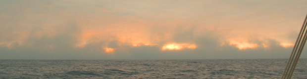 Fog off Eenhoorn's Port Bow