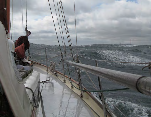 Eenhoorn