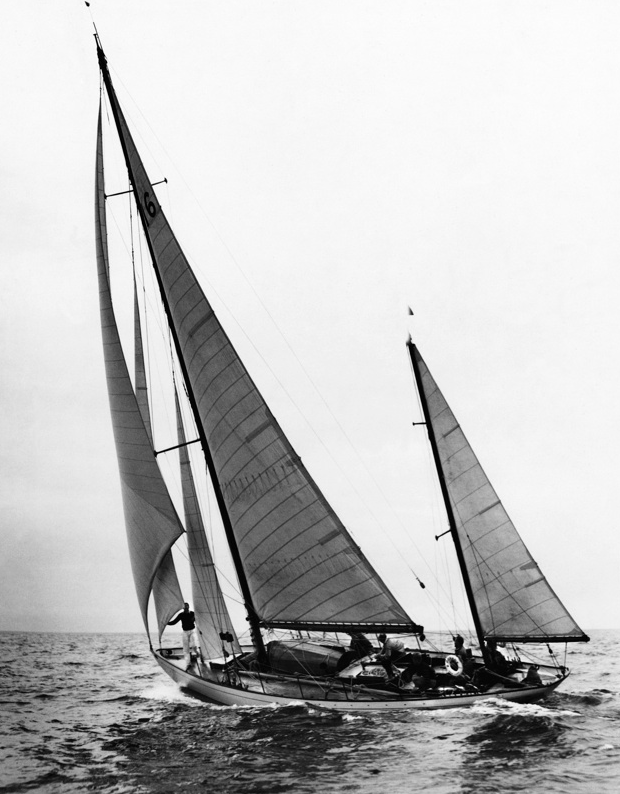 Dorade